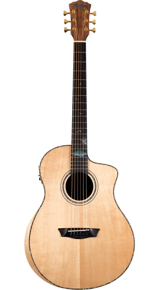 Washburn BTS C56 SCE N