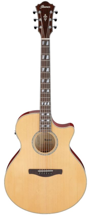 Ibanez AE170 NTR