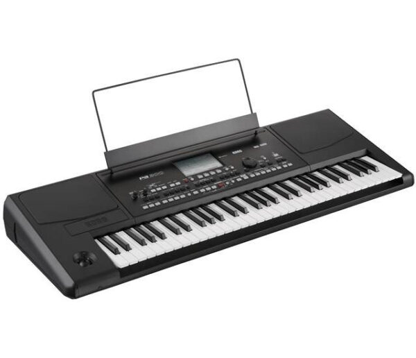 Korg PA300 - keyboard0