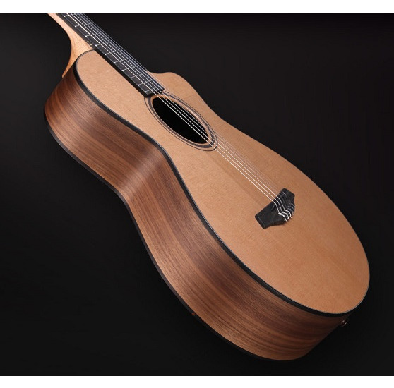 Furch GNc 2-SW + LR Baggs0