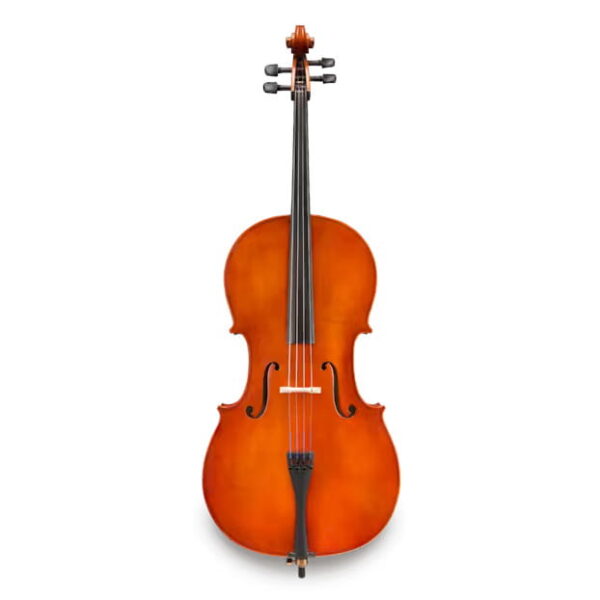 ANDREAS EASTMAN wiolonczela model 50 Samuel Eastman, rozmiar 4/4