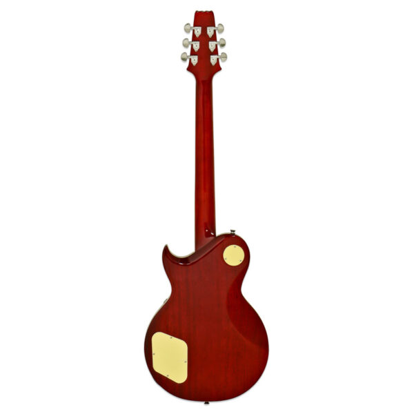 ARIA PE-590 STD (AGCS) gitara elektryczna0