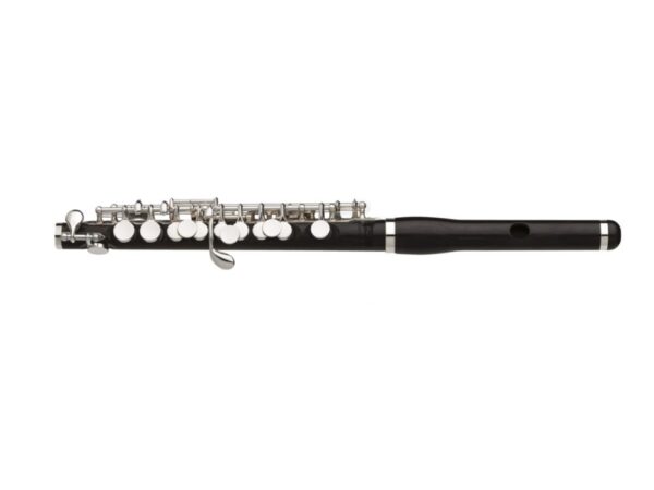Amadeus AP86-W