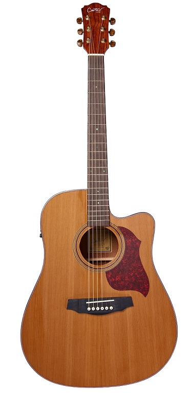 Carter Guitars CD-150SCE NL Carter Guitars CD-150SCE NL