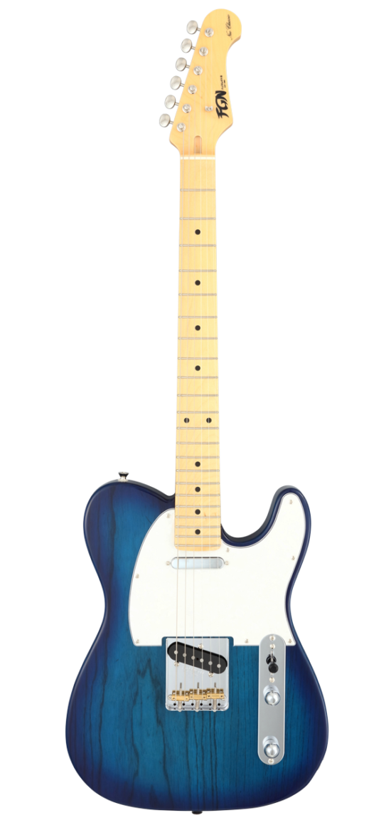 FGN Neo Classic TE100 SBB