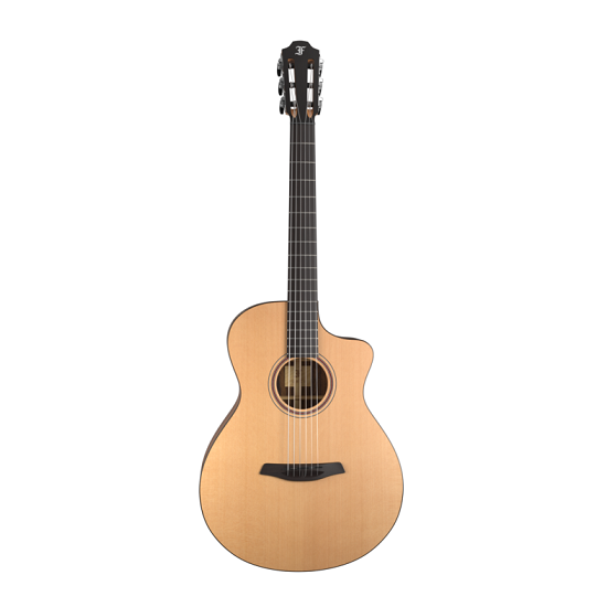 Furch GNc 2-SW + LR Baggs