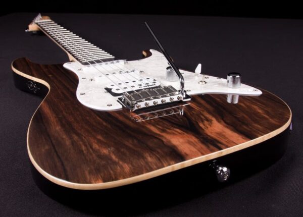 Michael Kelly Custom Collection 65 Striped Ebony | Gitara elektryczna0