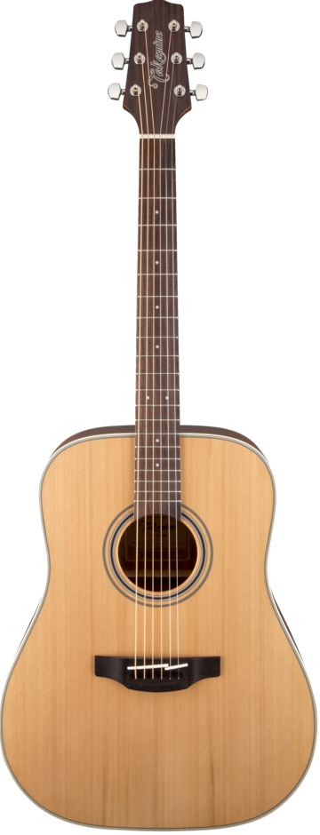 Takamine GD20 NS Takamine GD20 NS