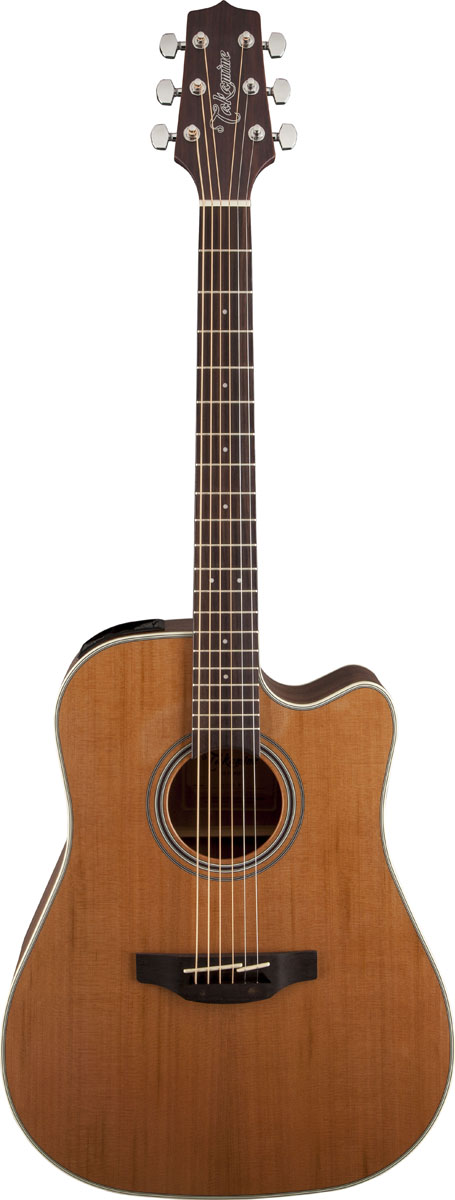 Takamine GD20CE NS Takamine GD20CE NS