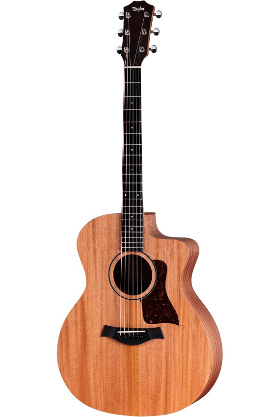 Taylor 24ce