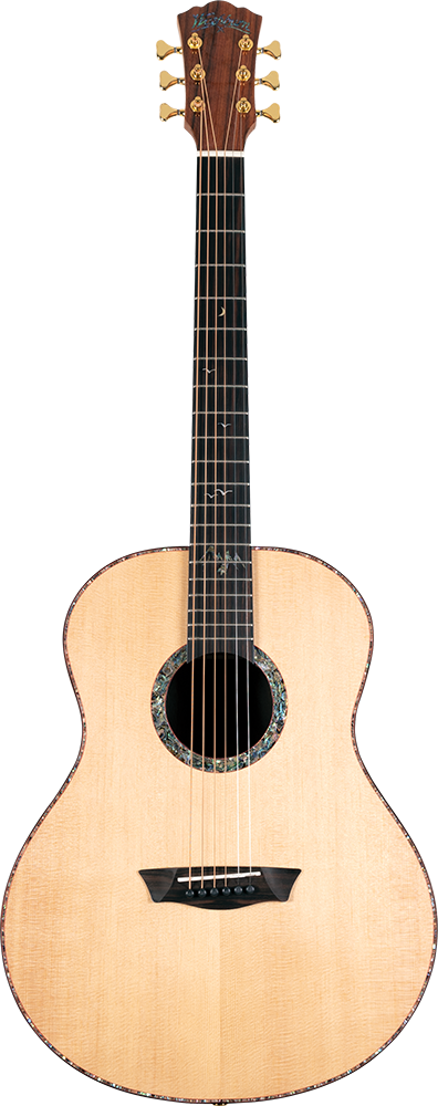 Washburn BTS 24 S Washburn BTS 24 S