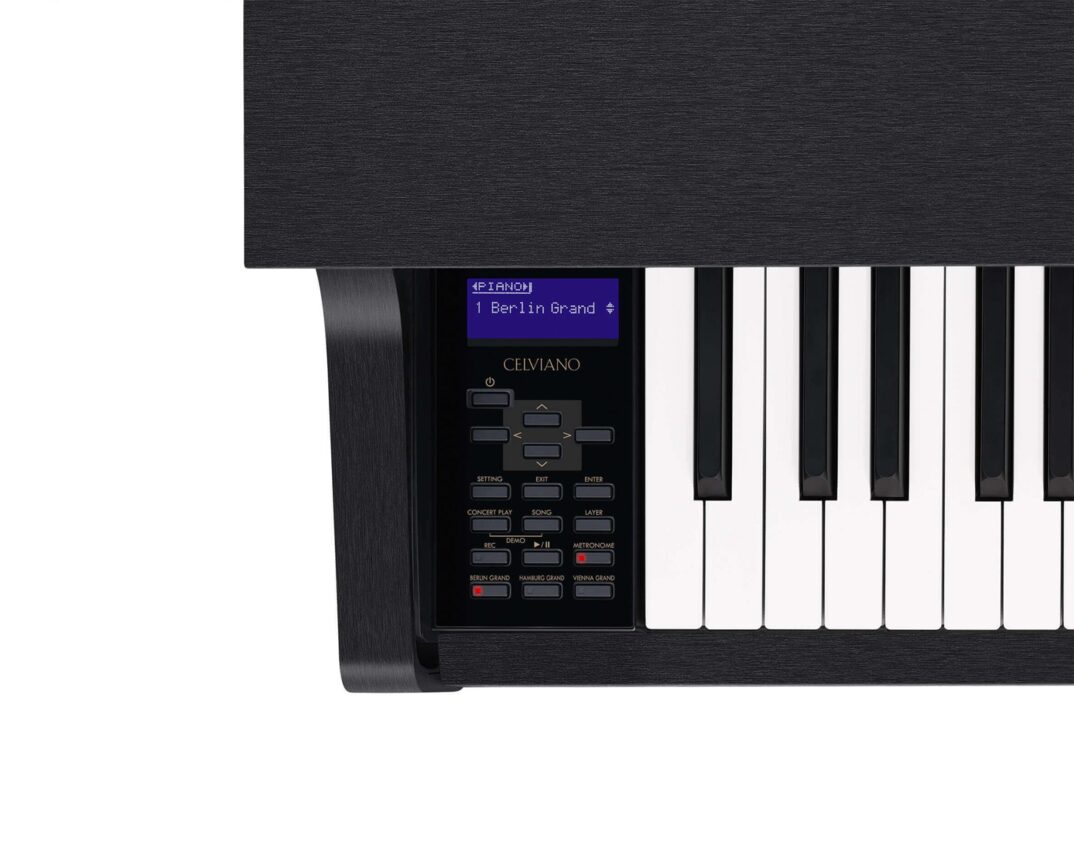 CASIO GP-310 BK1 CASIO GP-310 BK1