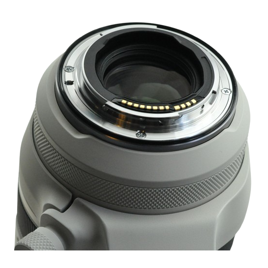 Canon RF 100-500 F4.5-7.1 L IS USM7 Canon RF 100-500 F4.5-7.1 L IS USM7