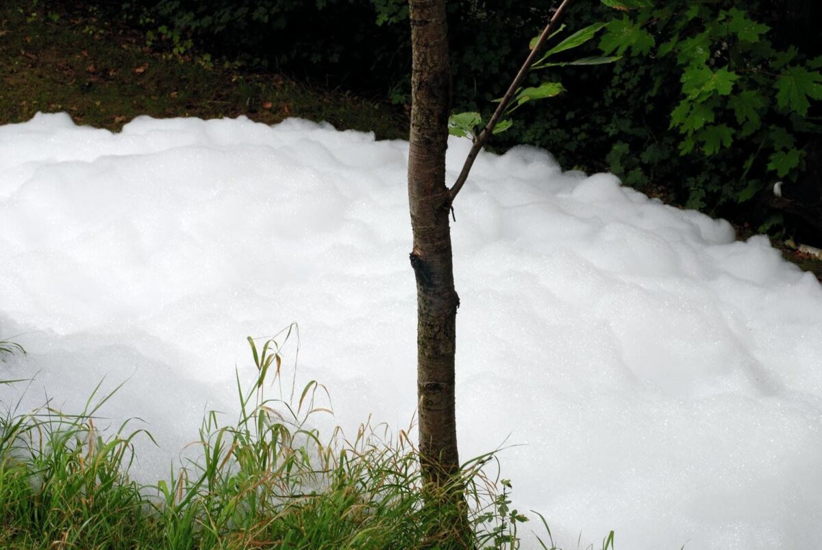 EUROLITE Foam 1200 Cannon - Wytwornica Piany7 EUROLITE Foam 1200 Cannon - Wytwornica Piany7