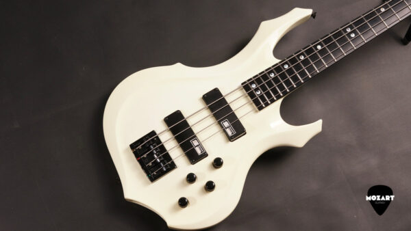 Edwards E-FR-135B/BA Snow White0