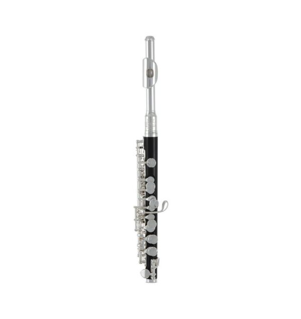 Flet piccolo ROY BENSON STUDENT PRO PC-502