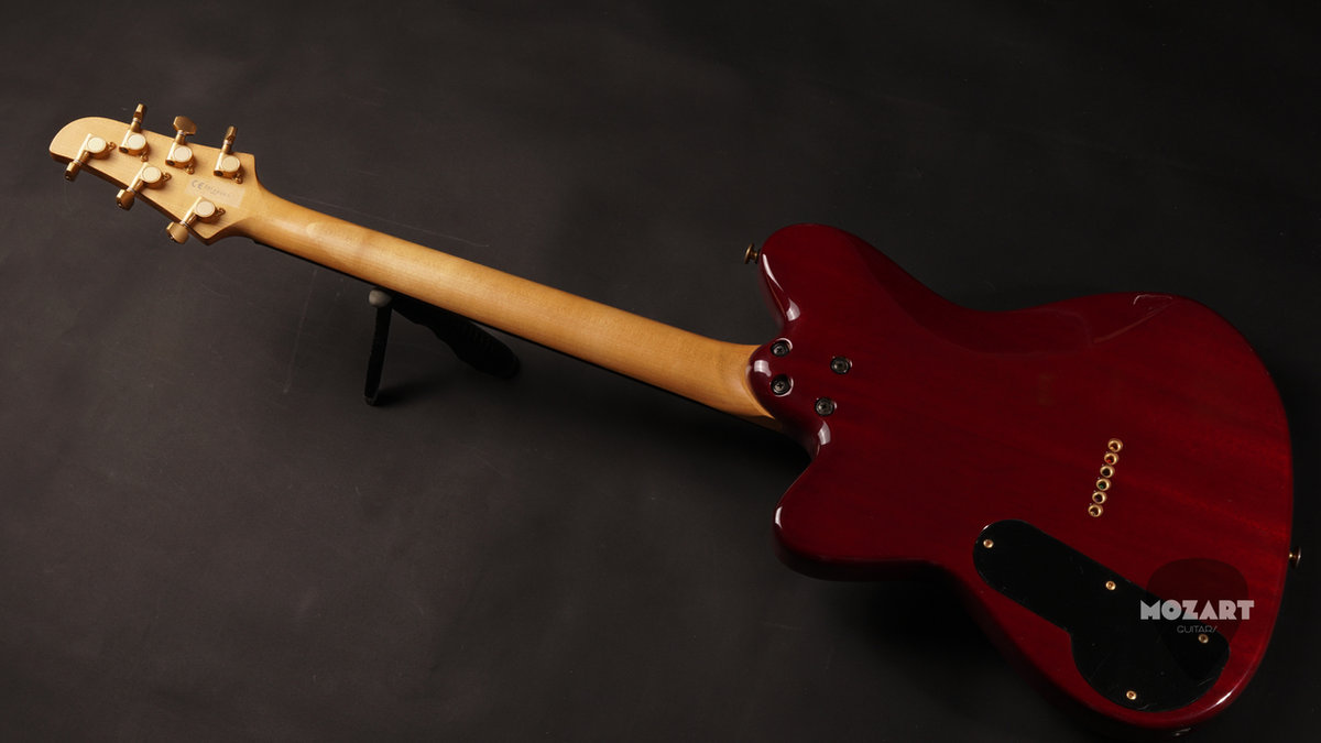Ibanez PGM900 Paul Gilbert 1997 MiJ5 Ibanez PGM900 Paul Gilbert 1997 MiJ5