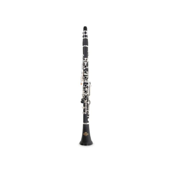 Klarnet Bb ROY BENSON CG-220