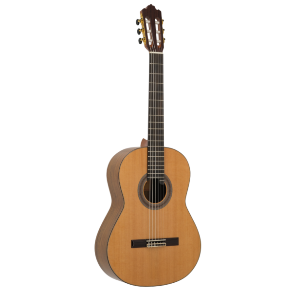 Prodipe Guitars Soloist 900 4/4 - gitara klasyczna0