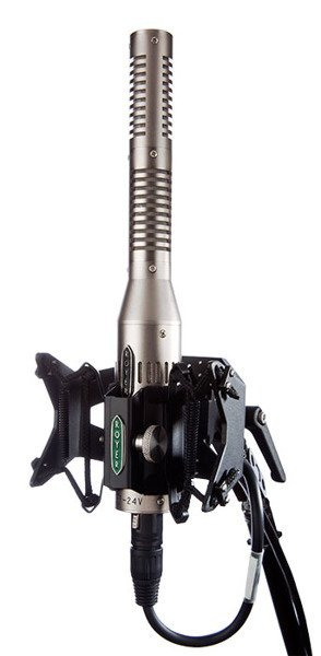 Royer Labs SF-24V1 Royer Labs SF-24V1