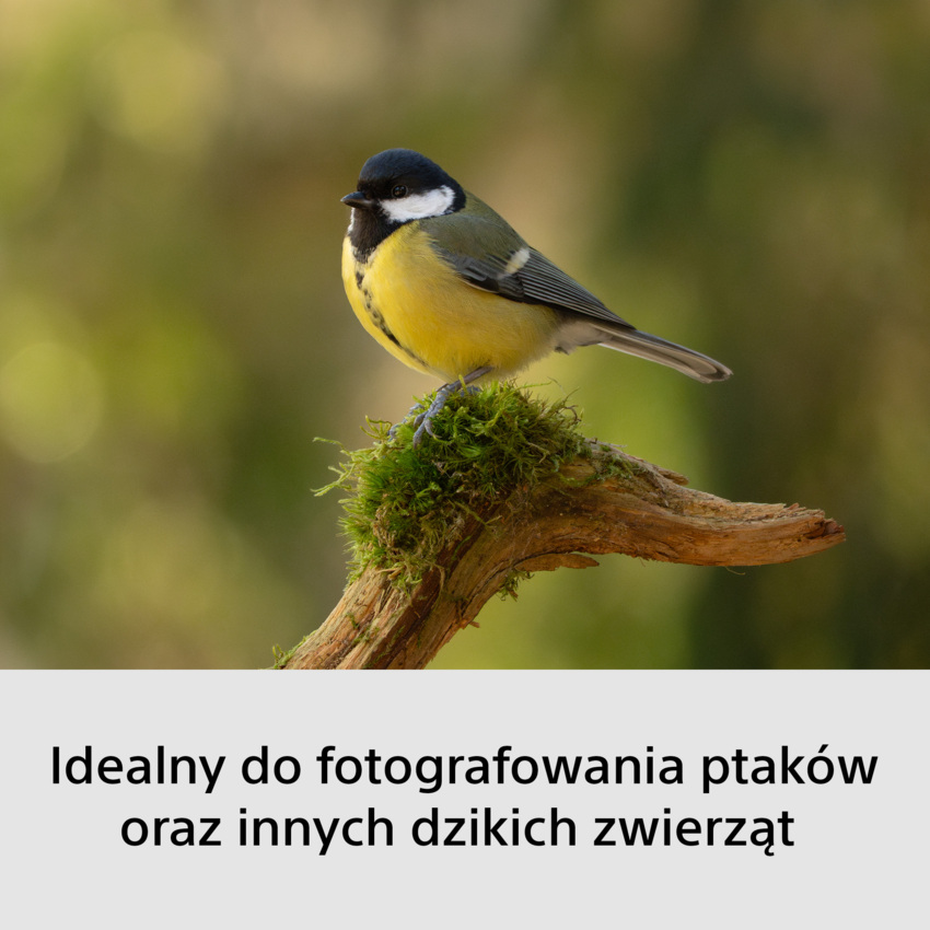 Aparat cyfrowy Sony A6700 + obiektyw E PZ 16-50mm F/3.5-5.6 OSS II + obiektyw E 70-350mm F/4.5-6.3 G OSS - ILCE6700GBDI4 Aparat cyfrowy Sony A6700 + obiektyw E PZ 16-50mm F/3.5-5.6 OSS II + obiektyw E 70-350mm F/4.5-6.3 G OSS - ILCE6700GBDI4