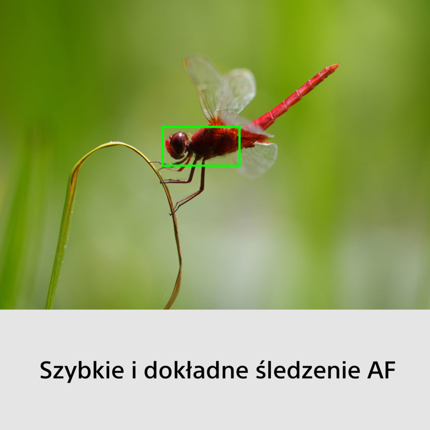 Aparat cyfrowy Sony A6700 + obiektyw E PZ 16-50mm F/3.5-5.6 OSS II + obiektyw E 70-350mm F/4.5-6.3 G OSS - ILCE6700GBDI6 Aparat cyfrowy Sony A6700 + obiektyw E PZ 16-50mm F/3.5-5.6 OSS II + obiektyw E 70-350mm F/4.5-6.3 G OSS - ILCE6700GBDI6