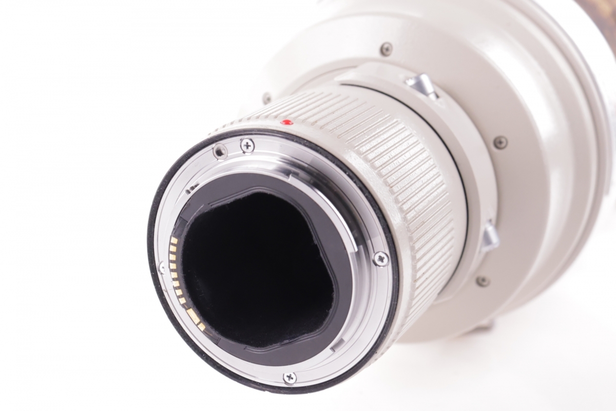 Canon 600mm f/4 L IS USM10 Canon 600mm f/4 L IS USM10