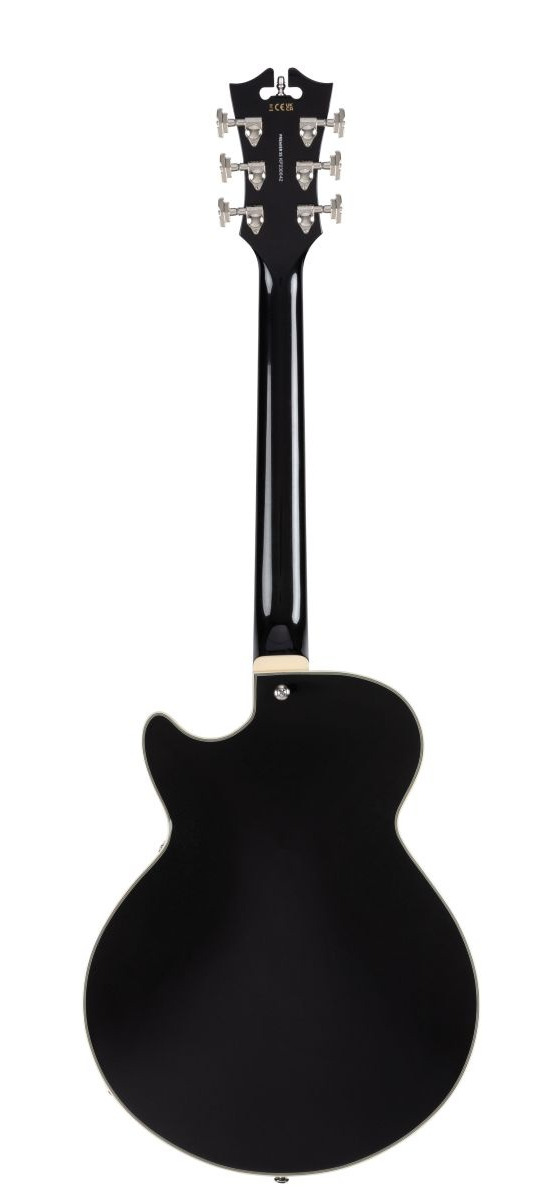 D'Angelico Premier SS Black Flake 2023 - gitara elektryczna0