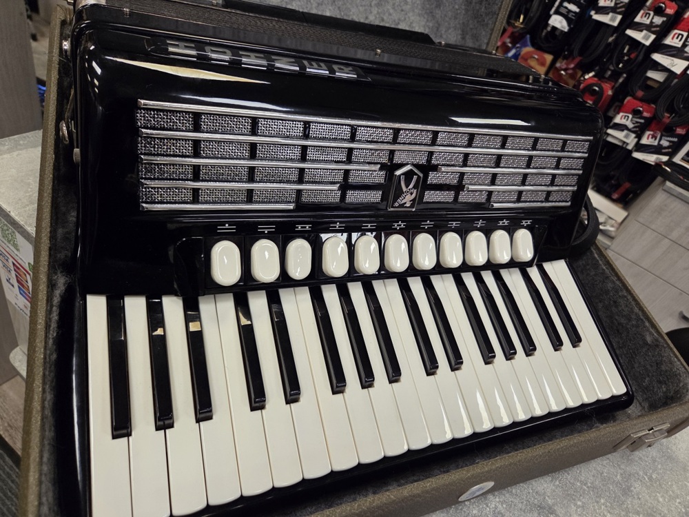 Hohner Favorit IV P - Akordeon 96 basów6 Hohner Favorit IV P - Akordeon 96 basów6