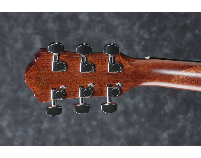 Ibanez AEG220 LGS - Gitara Eletroakustyczna2 Ibanez AEG220 LGS - Gitara Eletroakustyczna2