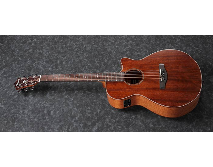 Ibanez AEG220 LGS - Gitara Eletroakustyczna0 Ibanez AEG220 LGS - Gitara Eletroakustyczna0