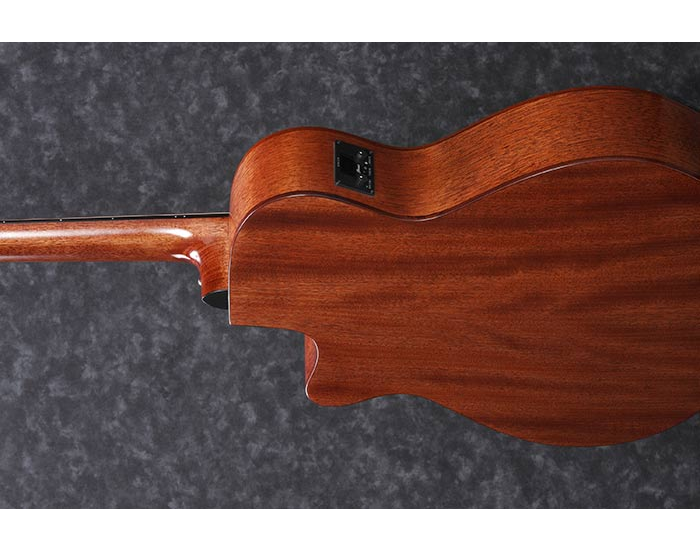 Ibanez AEG220 LGS - Gitara Eletroakustyczna1 Ibanez AEG220 LGS - Gitara Eletroakustyczna1