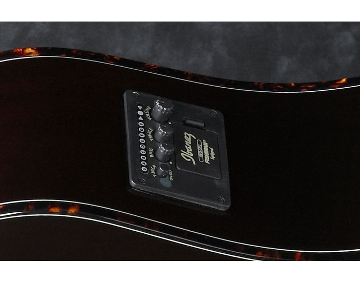 Ibanez AW84CE-WK - gitara elektroakustyczna3 Ibanez AW84CE-WK - gitara elektroakustyczna3