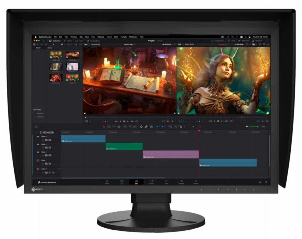 Monitor graficzny Eizo ColorEdge CG2400S0