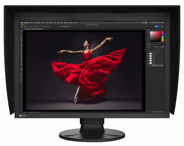 Monitor graficzny Eizo ColorEdge CG2400S