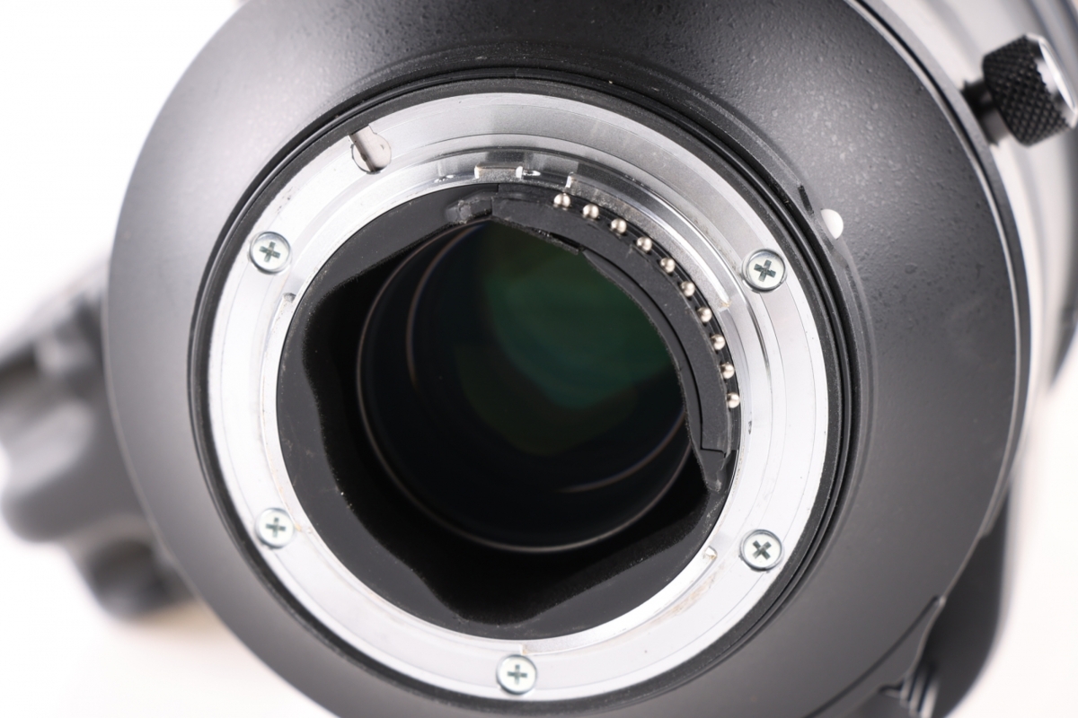 Nikkor 180-400mm f/4 AF-S E + TC1.4 FL ED VR10 Nikkor 180-400mm f/4 AF-S E + TC1.4 FL ED VR10