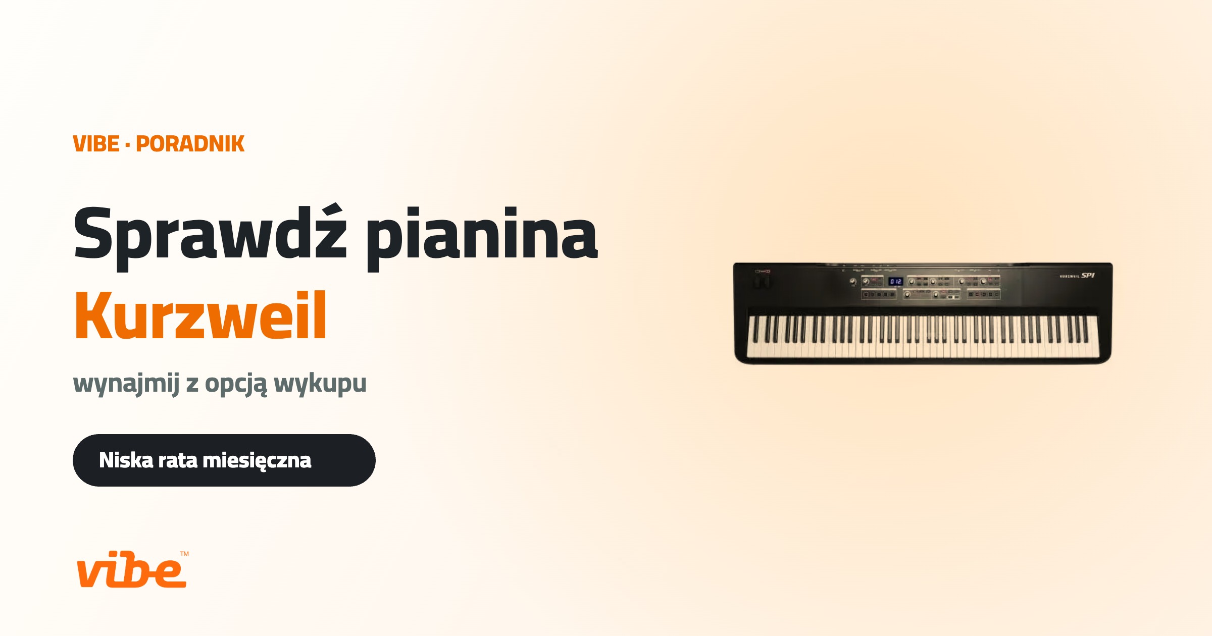 Kurzweil — poradnik, Vibe